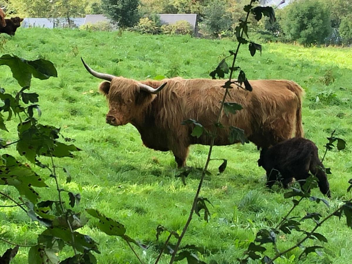 Schoene Aussicht Sauerland By Koelbel Familienurlaub Mit Hund Schmallenberg Buitenkant foto